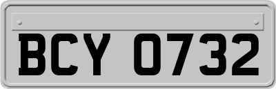 BCY0732
