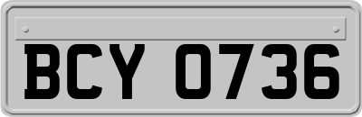 BCY0736