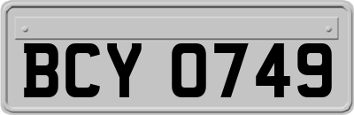 BCY0749
