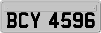 BCY4596