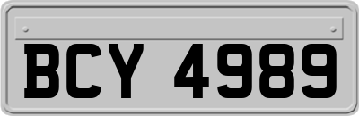 BCY4989