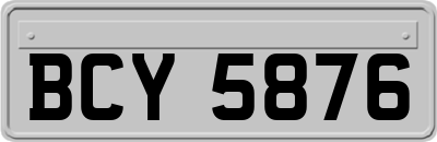 BCY5876