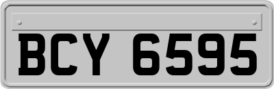 BCY6595