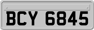 BCY6845