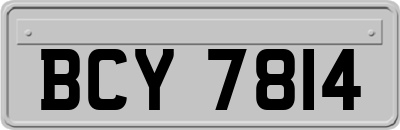 BCY7814