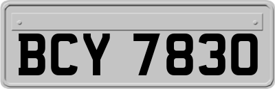 BCY7830