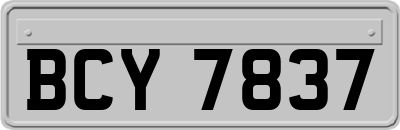 BCY7837