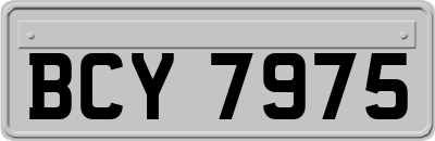BCY7975