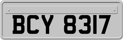 BCY8317
