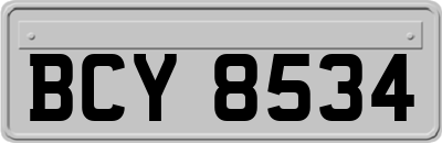 BCY8534