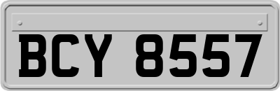 BCY8557