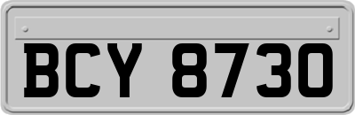 BCY8730