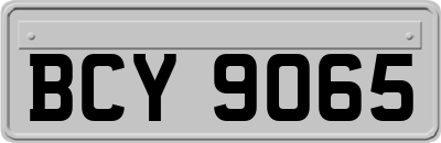 BCY9065
