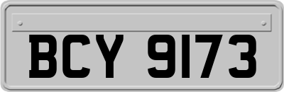 BCY9173