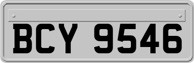 BCY9546