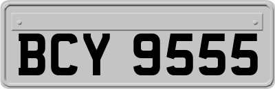 BCY9555