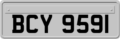 BCY9591