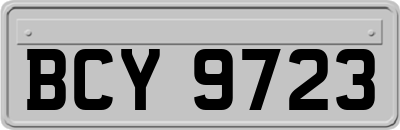 BCY9723