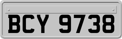 BCY9738