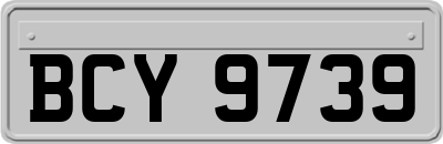BCY9739