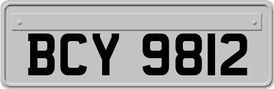 BCY9812