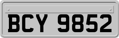 BCY9852