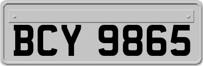 BCY9865