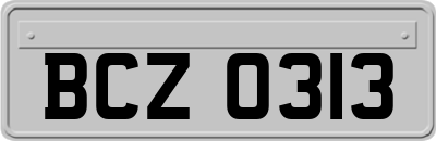 BCZ0313