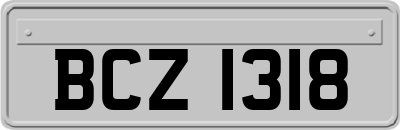 BCZ1318