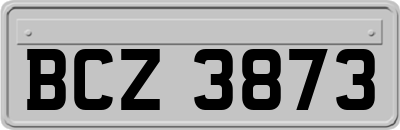 BCZ3873