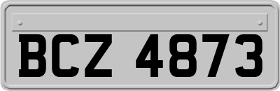 BCZ4873