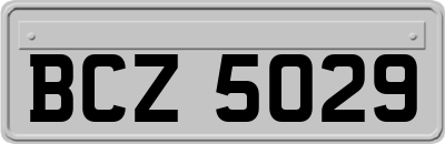 BCZ5029