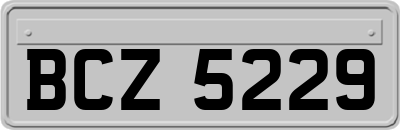 BCZ5229