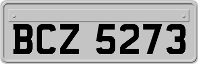 BCZ5273