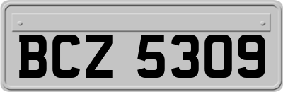 BCZ5309