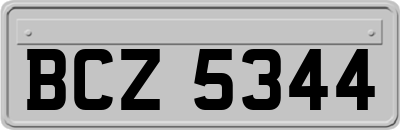 BCZ5344