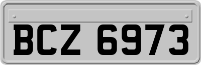 BCZ6973