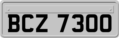 BCZ7300