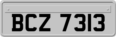 BCZ7313