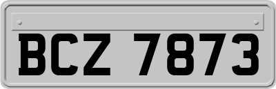 BCZ7873