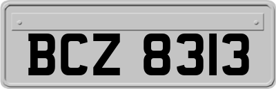 BCZ8313