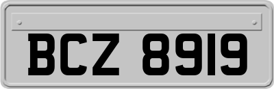 BCZ8919