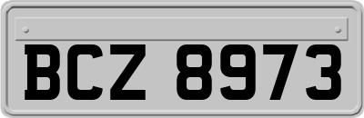 BCZ8973