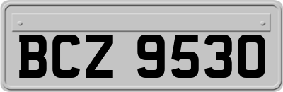 BCZ9530