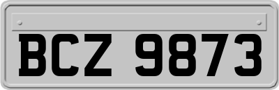 BCZ9873