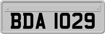 BDA1029