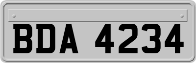BDA4234