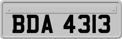 BDA4313
