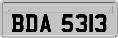 BDA5313