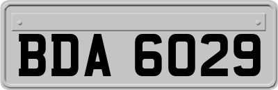 BDA6029
